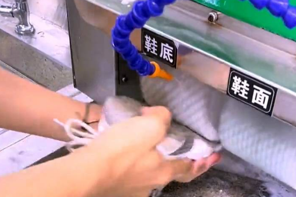 猫人洗鞋