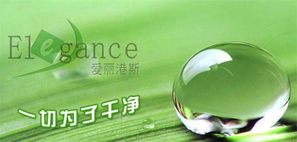 爱丽港斯干洗