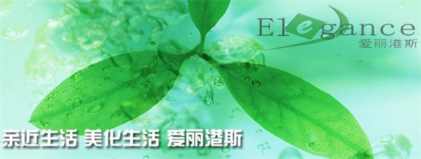 爱丽港斯干洗