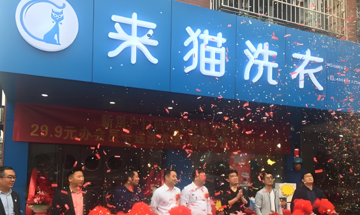 来猫洗衣