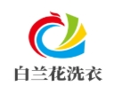 白兰花洗衣加盟