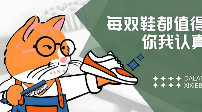 猫的鞋
