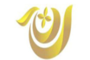 迪娜斯皮具护理加盟
