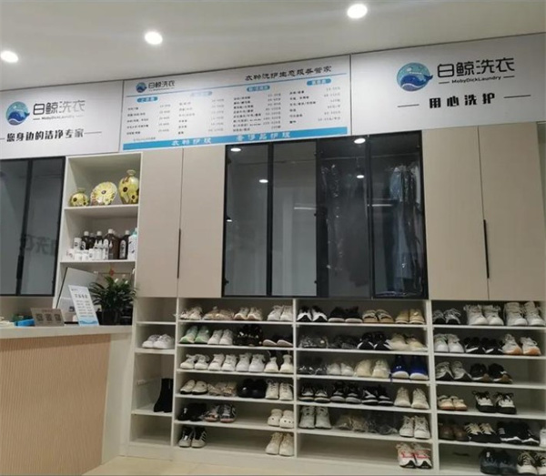 白鲸洗衣 白鲸洗衣