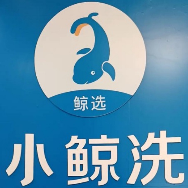 小鲸洗洗衣洗鞋 小鲸洗洗衣洗鞋